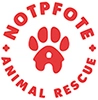 Notpfote Animal Rescue e.V. ist bei BESTBUDDIES für artgerechte und professionelle Vermittlung von Tieren aus dem europäischen Tierschutz verantwortlich